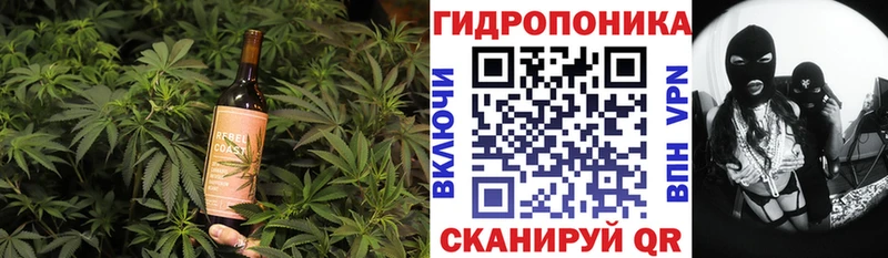 Cannafood марихуана  Нестеров 