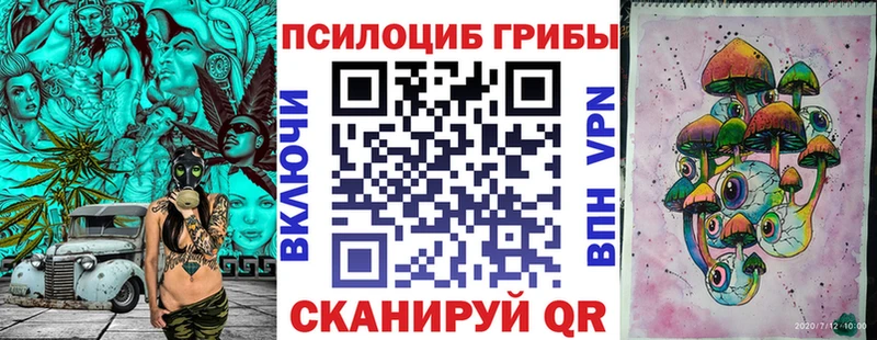 Псилоцибиновые грибы Magic Shrooms  продажа наркотиков  площадка состав  Нестеров 